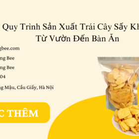 Ảnh bìa quy trình sản xuất trái cây sấy khô